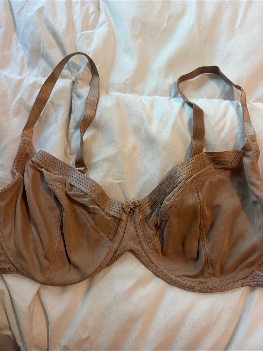 Pour Moi Everyday Underwire Bra in Nude